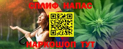 гашик Обь