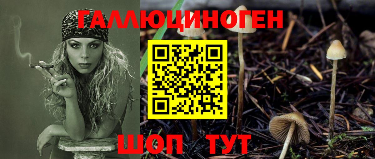 Рузаевка  купить закладку  Вход с VPN  Галлюциногенные грибы Magic Shrooms 